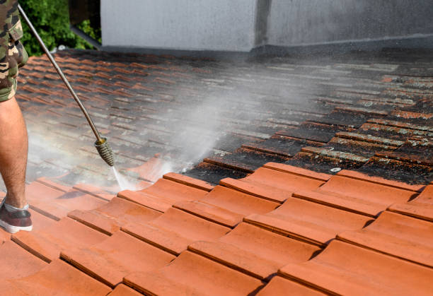 Best Pressure Washing Patio  in Waynesboro, MS