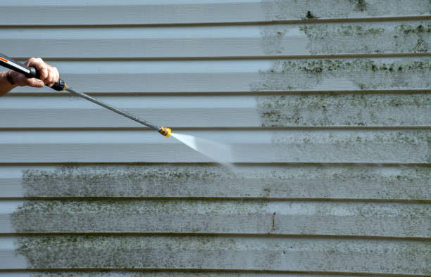 Roof Power Washing Services in Waynesboro, MS