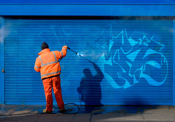 Best Garage Pressure Washing  in Waynesboro, MS