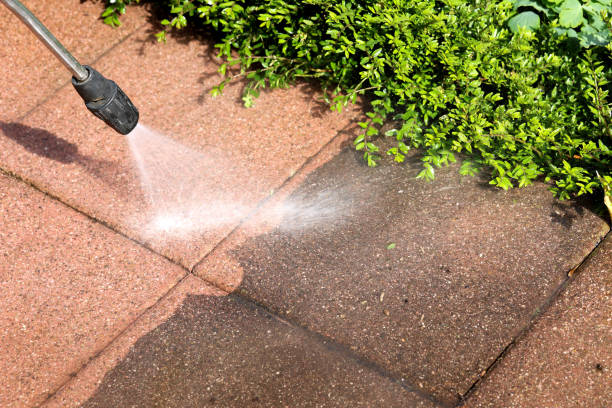 Best Affordable Power Washing  in Waynesboro, MS