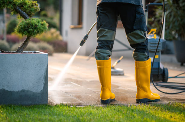 Professional Pressure Washing in Waynesboro, MS